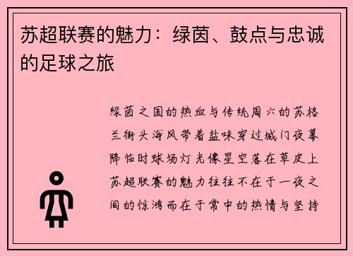 苏超联赛的魅力：绿茵、鼓点与忠诚的足球之旅