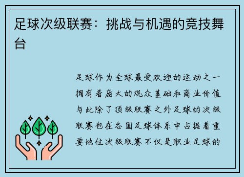 足球次级联赛：挑战与机遇的竞技舞台